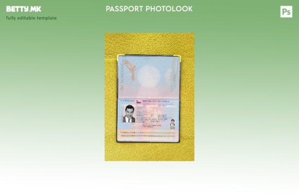 Шаблон за изглед на фотографија од пасош на Чиле во модерен стил